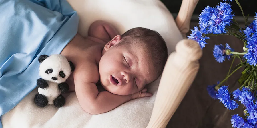 Slika odozgo novorođenčeta koje spava. Pokriveno je plavim ćebencetom, dok je pored nje igračka u obliku pande.