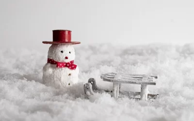 Stvorite zimsku čaroliju: Veštački sneg za igranje u bilo koje doba godine!